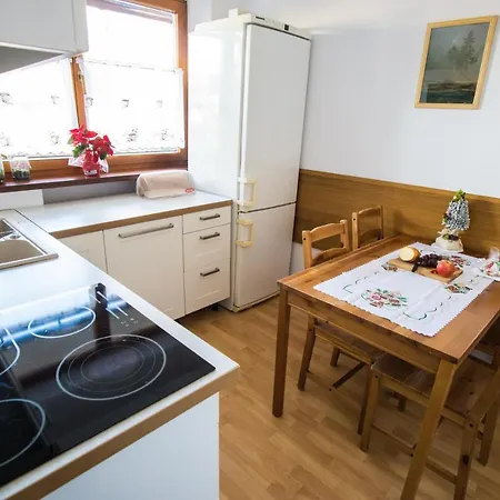Apartament Ustronie 아파트 자코파네